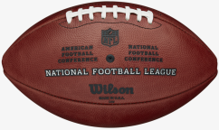 Wilson The Duke NFL Football