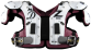 Maroon Snapper