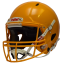 Riddell Victor-i - Gold - Velikost Helmy: S/M
