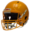 Riddell Victor-i - Gold - Helmet Size: L/XL