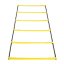 SKLZ Elevation Ladder