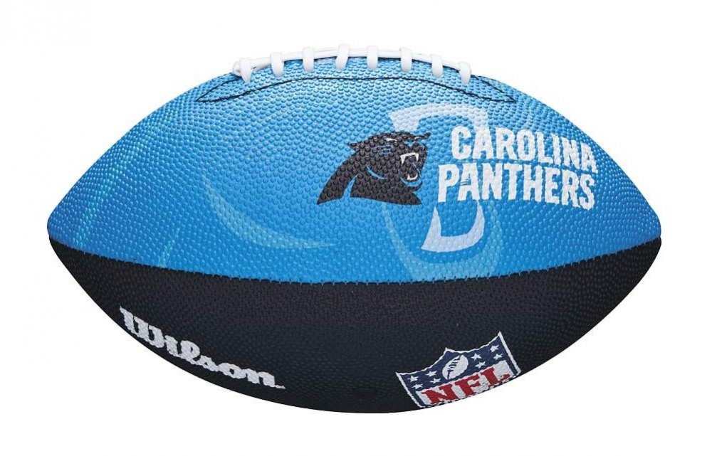 panthers nfl team